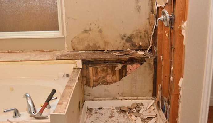 Mold Remediation